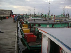 Pelabuhan Sebagai Tempat Sandar Kapal Nelayan Tanjung Satai